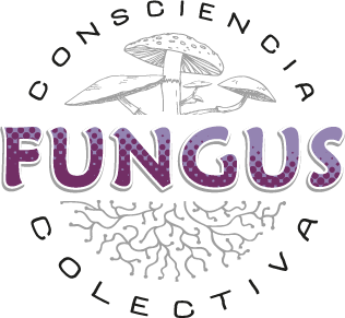 Fungus